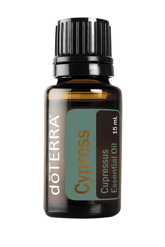 Cypress - 15ml