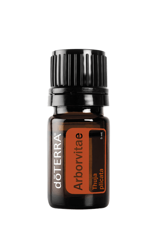 Arborvitae - 5ml - Essential Oils Worldwide